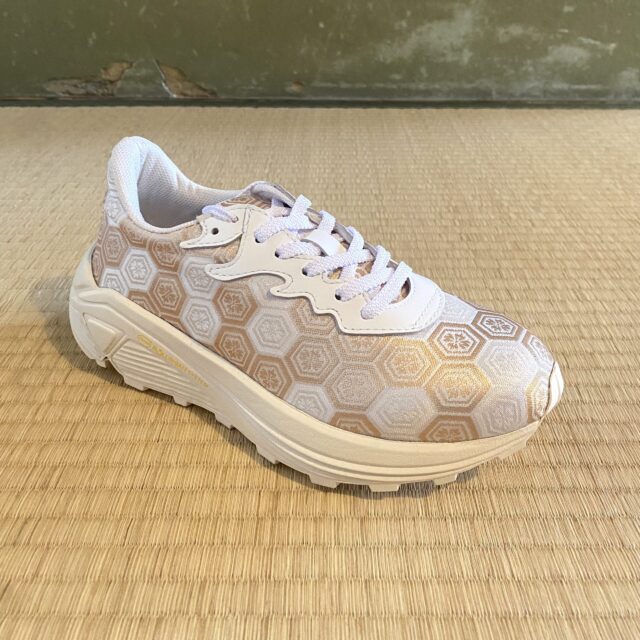 H008_RGS　白地変り亀甲