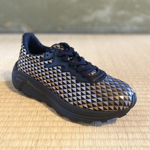 H007_RGS　黒地金銀小鱗紋